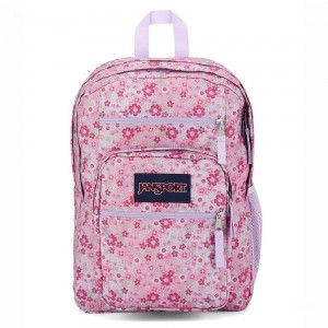 Batohy Batoh Na Notebook JanSport BIG STUDENT Růžové | ZCZNQ95950