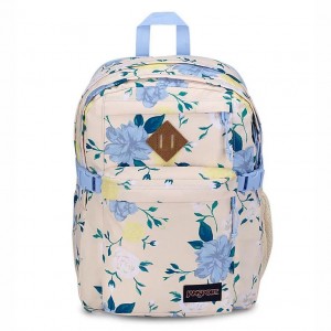 Batohy Školní batohy JanSport Main Campus Blankyt Žluté | CZCVG72066