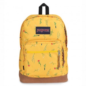 Batohy Školní batohy JanSport Right Pack Žluté | ECZVG82324