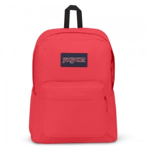 Batohy Školní batohy JanSport SuperBreak® Plus Růžové | CZIIZ45720