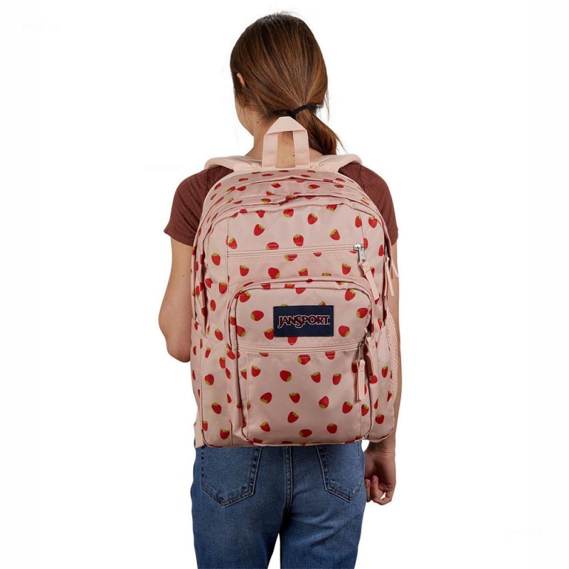 Batohy Batoh Na Notebook JanSport BIG STUDENT Růžové Červené | ZCZNQ27971