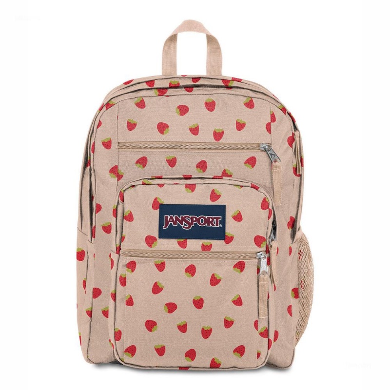 Batohy Batoh Na Notebook JanSport BIG STUDENT Růžové Červené | ZCZNQ27971