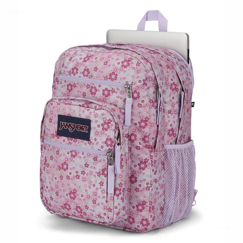 Batohy Batoh Na Notebook JanSport BIG STUDENT Růžové | ZCZNQ95950