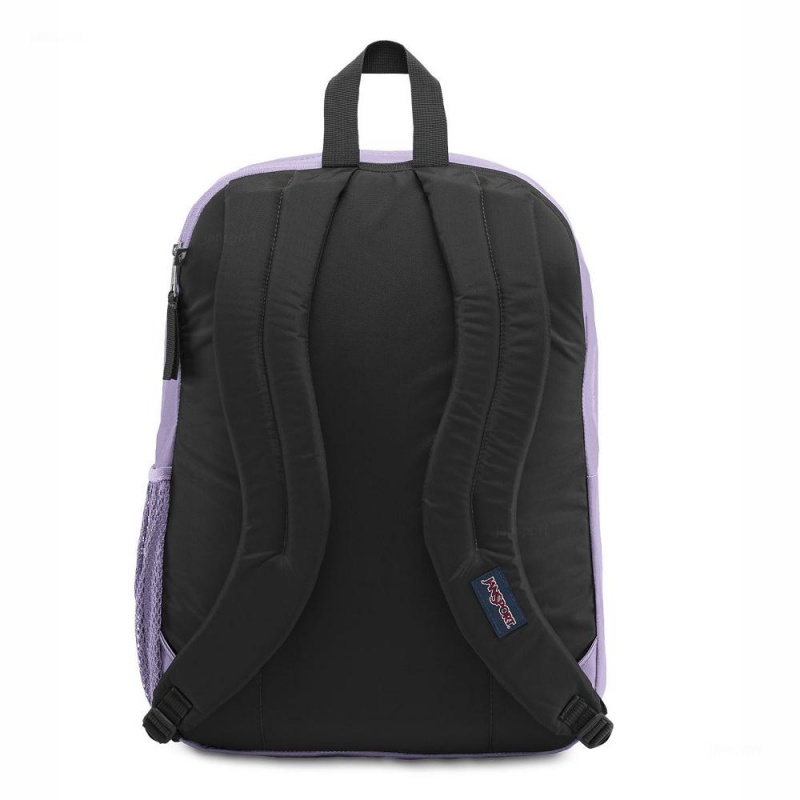 Batohy Batoh Na Notebook JanSport BIG STUDENT Fialové | YCZVQ11688