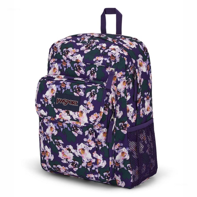 Batohy Batoh Na Notebook JanSport UNION PACK Fialové | CZNZX35229