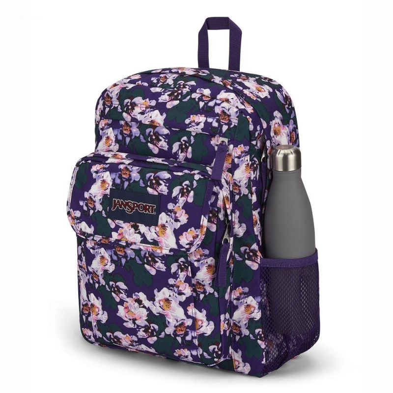 Batohy Batoh Na Notebook JanSport UNION PACK Fialové | CZNZX35229