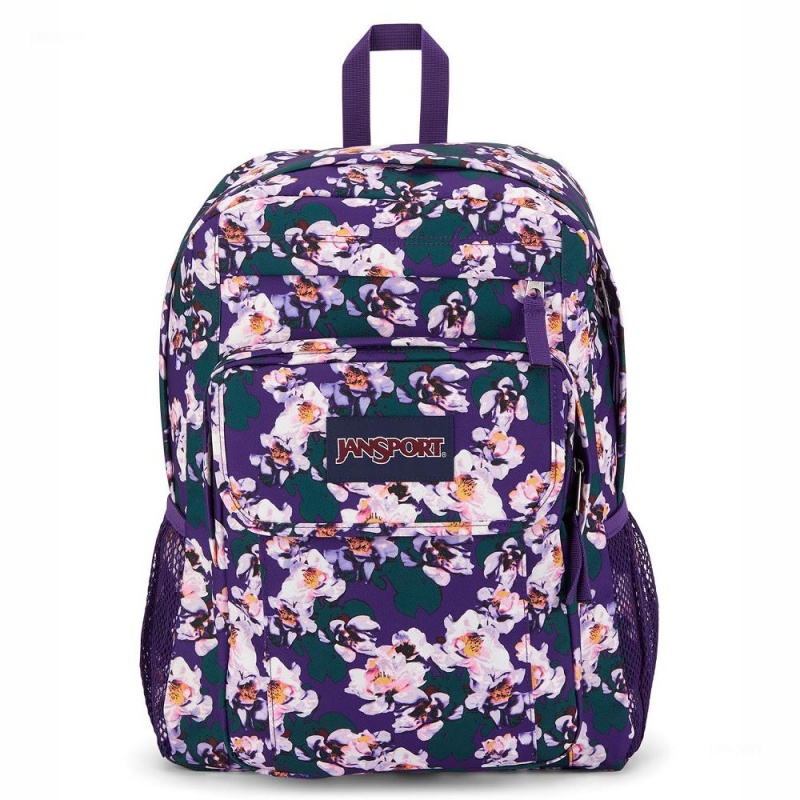 Batohy Batoh Na Notebook JanSport UNION PACK Fialové | CZNZX35229