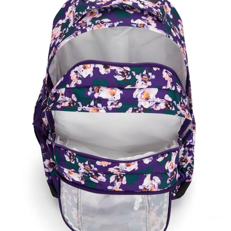 Batohy Rolovací batoh JanSport Driver 8 Fialové | ZCZMJ71362