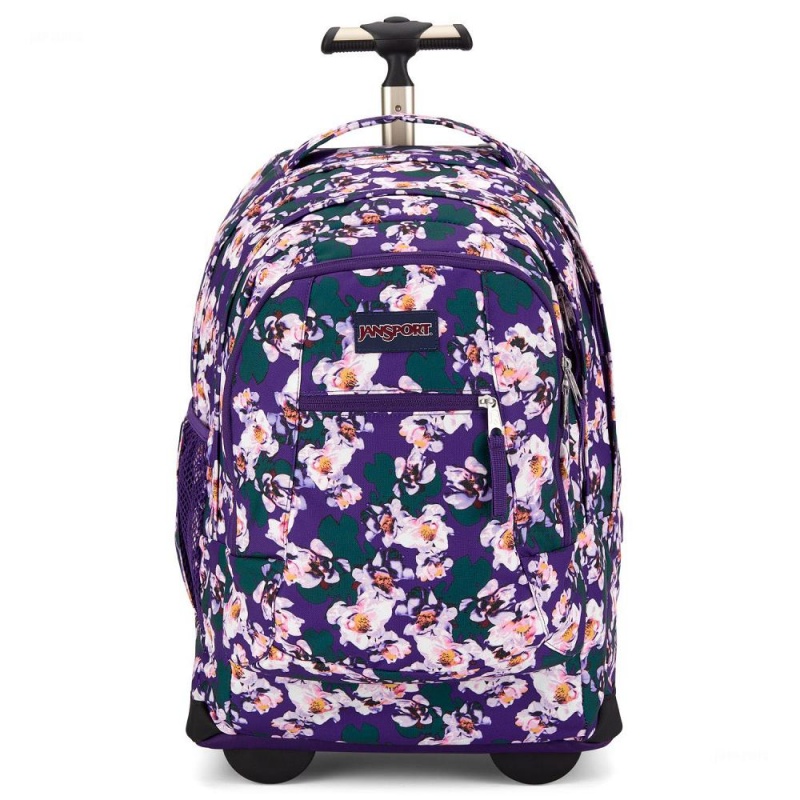 Batohy Rolovací batoh JanSport Driver 8 Fialové | ZCZMJ71362