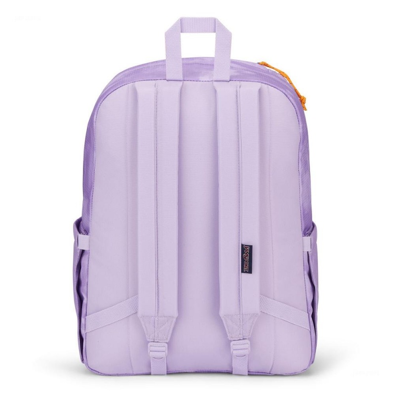 Batohy Školní batohy JanSport Double Break Fialové | CZICD36148