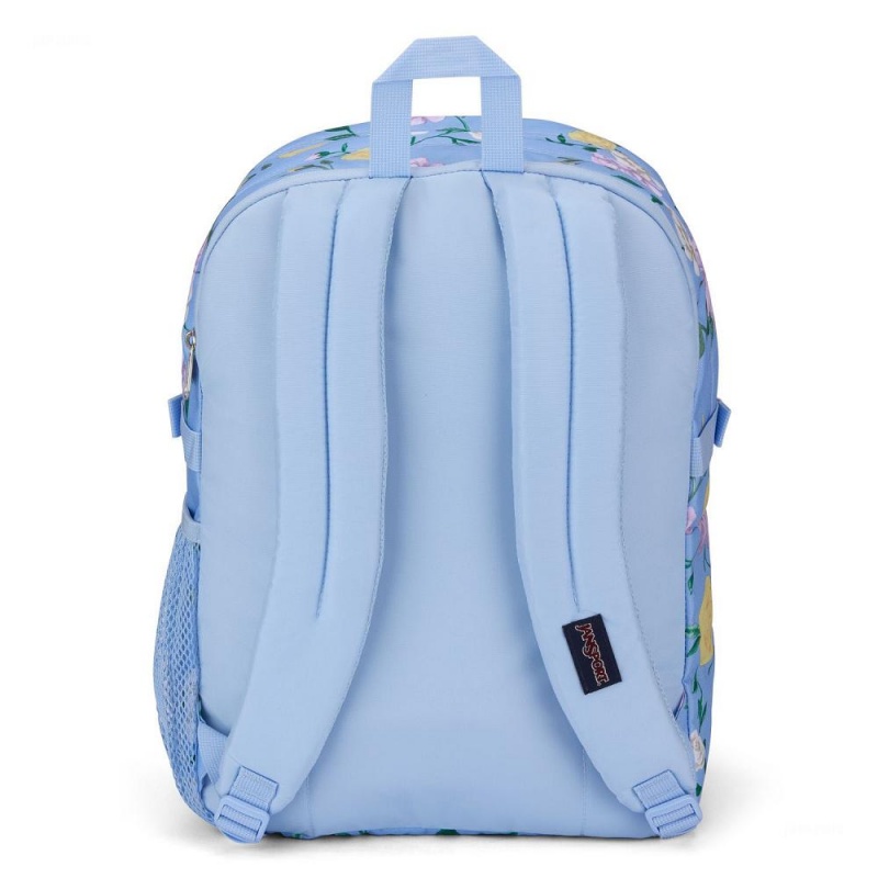 Batohy Školní batohy JanSport Main Campus Světle Blankyt | XCZBH46055