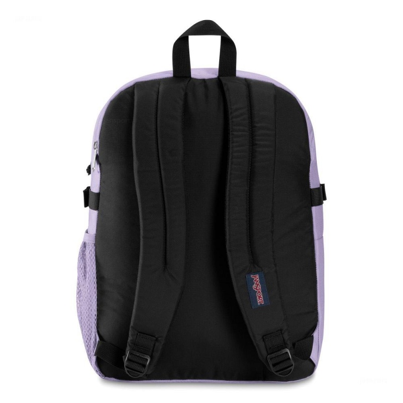 Batohy Školní batohy JanSport Main Campus Fialové | ACZWC11590