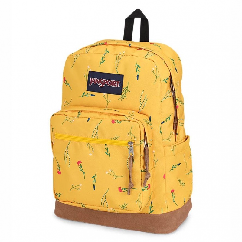 Batohy Školní batohy JanSport Right Pack Žluté | ECZVG82324