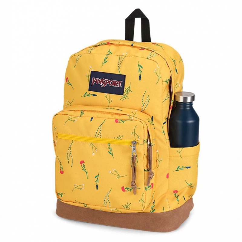 Batohy Školní batohy JanSport Right Pack Žluté | ECZVG82324